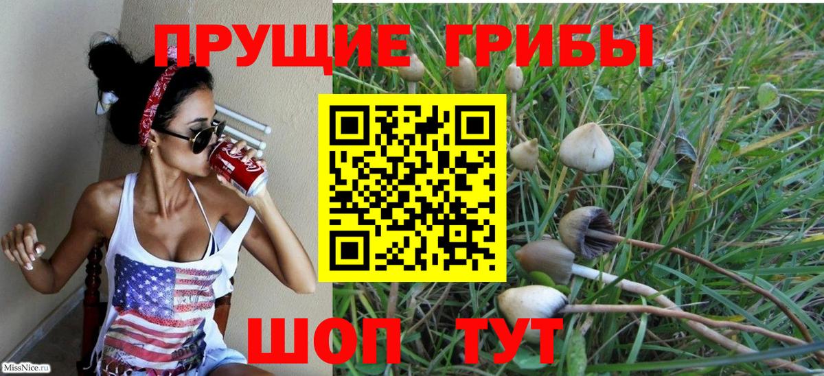 Ханты-Мансийск  Псилоцибиновые грибы Psilocybine cubensis  Вход с VPN 